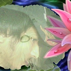 faisalrafiquef
