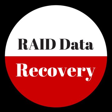 Raid Data Recovery
