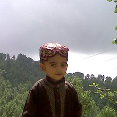 Naeem Tahir Suduzai