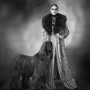 Le Troisième Jour Kennel