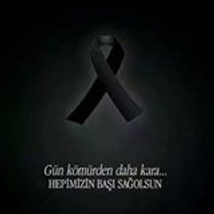 Yücel Baş