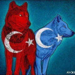 Sen Siz Olmuyor66