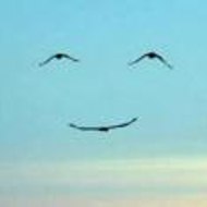 NightEnvironment.com