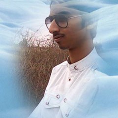 Muhammad Bilal Raza Ansari