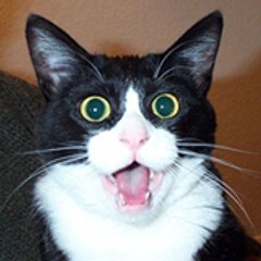 OMG-SHOW