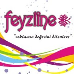 Feyzline