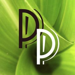 ParadiesNetwork