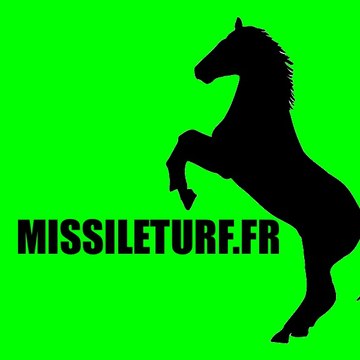 MISSILETURF