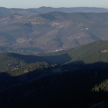 Vallée de Munster