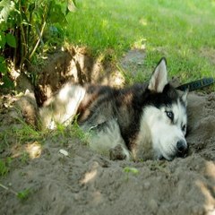 밤*의*전*쟁 울산립카페 역삼안마 부산 북구 안마