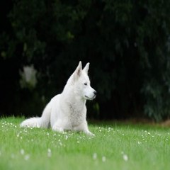밤*의*전*쟁 천안휴게텔 논현립카페 광교 키스방