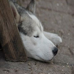 밤*의*전*쟁 광주오피방 전주립카페 대구 침산동 키스방