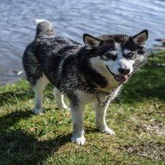 밤*의*전*쟁 강서립카페 서면오피방 목동오피걸