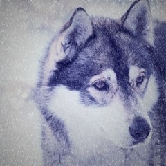 밤*의*전*쟁 강북마사지 부산립카페 면목 오피