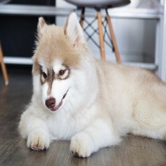 밤*의*전*쟁 대전오피 강남키스방 성북 오피방