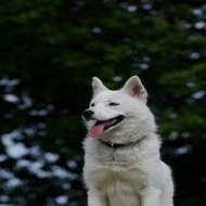 밤*의*전*쟁 수원오피방 평촌립카페 미아리 건마