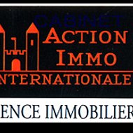 Action Immo Internationale