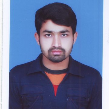 Anser Rana