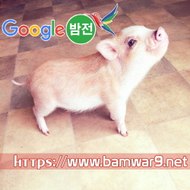 밤*의*전*쟁 광주휴게텔 천안안마시술소 대전 선화 키스방