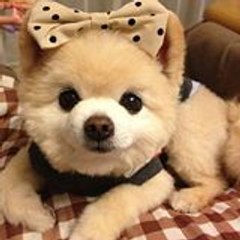 Alene Tan