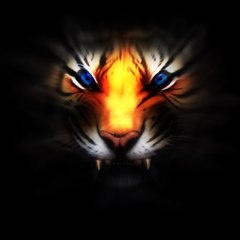 Shahril Mohamad