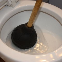 Expertpowerflush