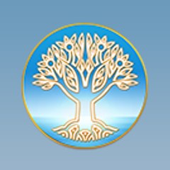 TM Videos