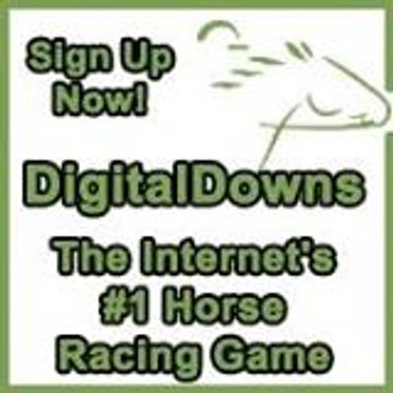 Digital Downs
