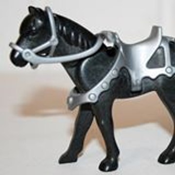 verkan du verseau