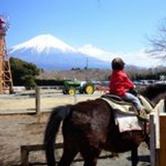 Iwama Jacs