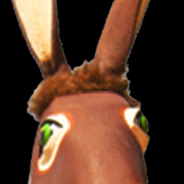 L'âne Archie