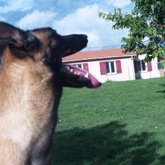 Les derniers centurions