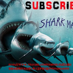 SharkMark