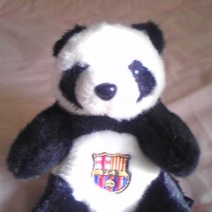 panda_wei