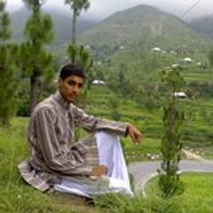 Naveed Hussain