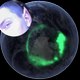 Weather Phenomena