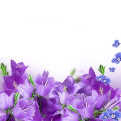 Harel Colted