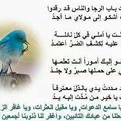 صور مشبات 0506463771